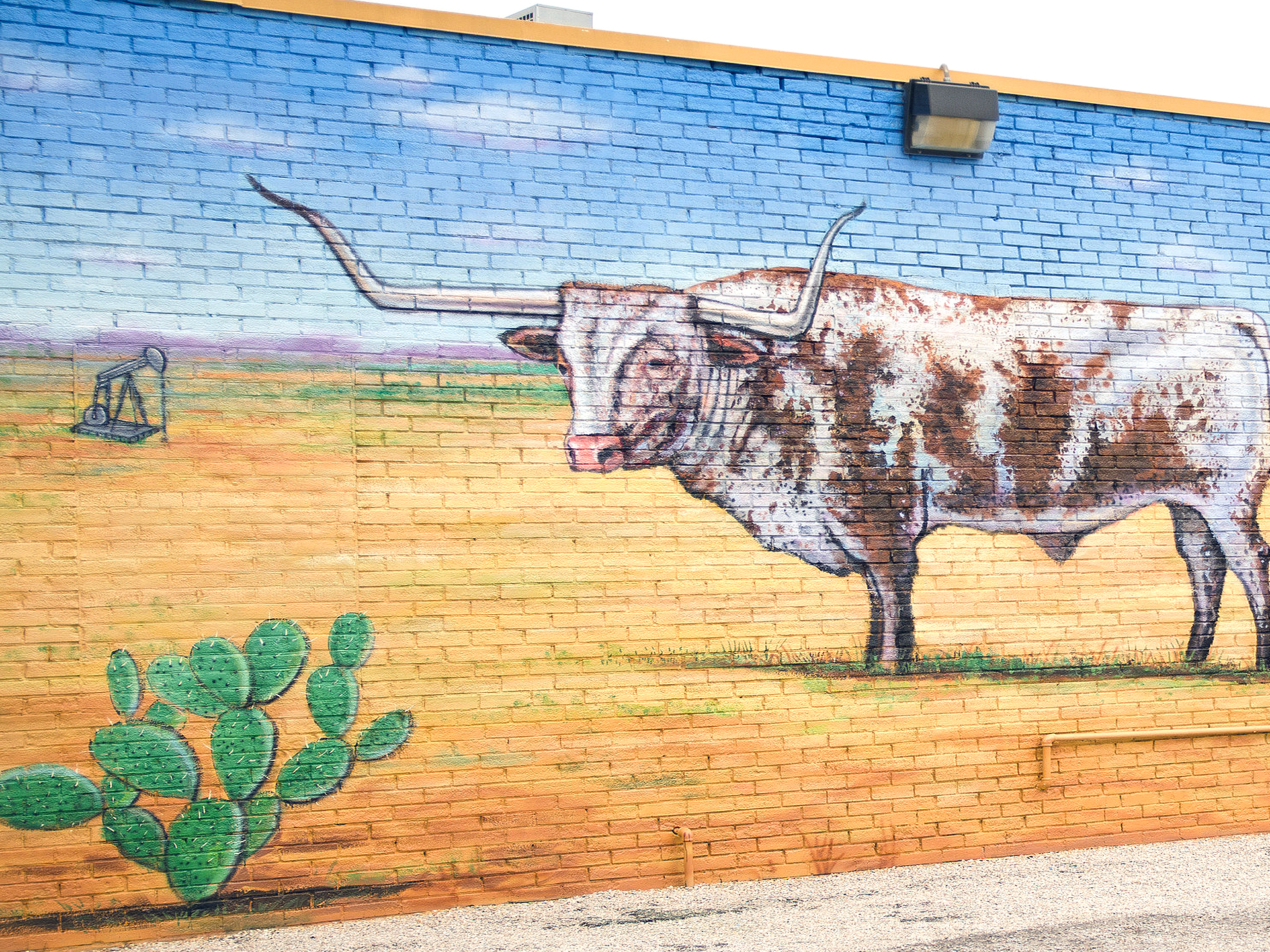 Longhorn Steer Mural 1