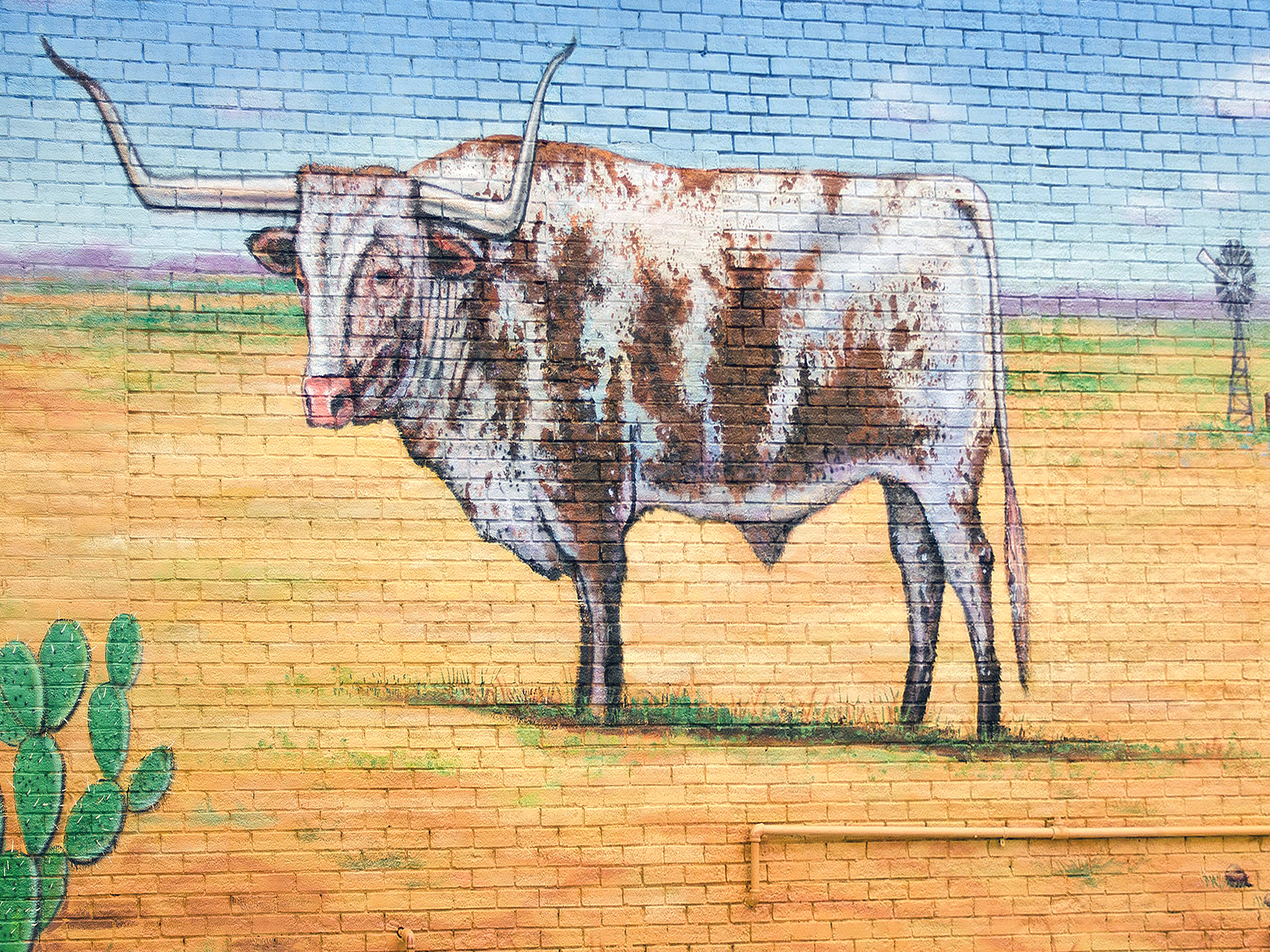 Longhorn Steer Mural 3
