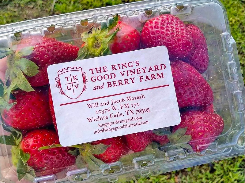The King’s Good Vineyard and Berry Farm 12