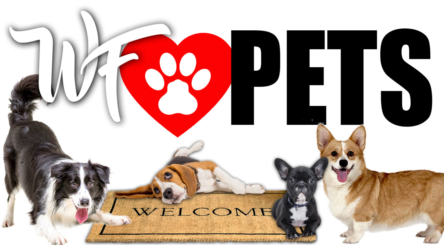 wichita-falls-pet-friendly-places-to-stay-and-play-wichita-falls